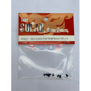 TEAM SOLAR HEX SOCKET FLAT HEAD SCREW (8PCS)  2MM / 2.5MM